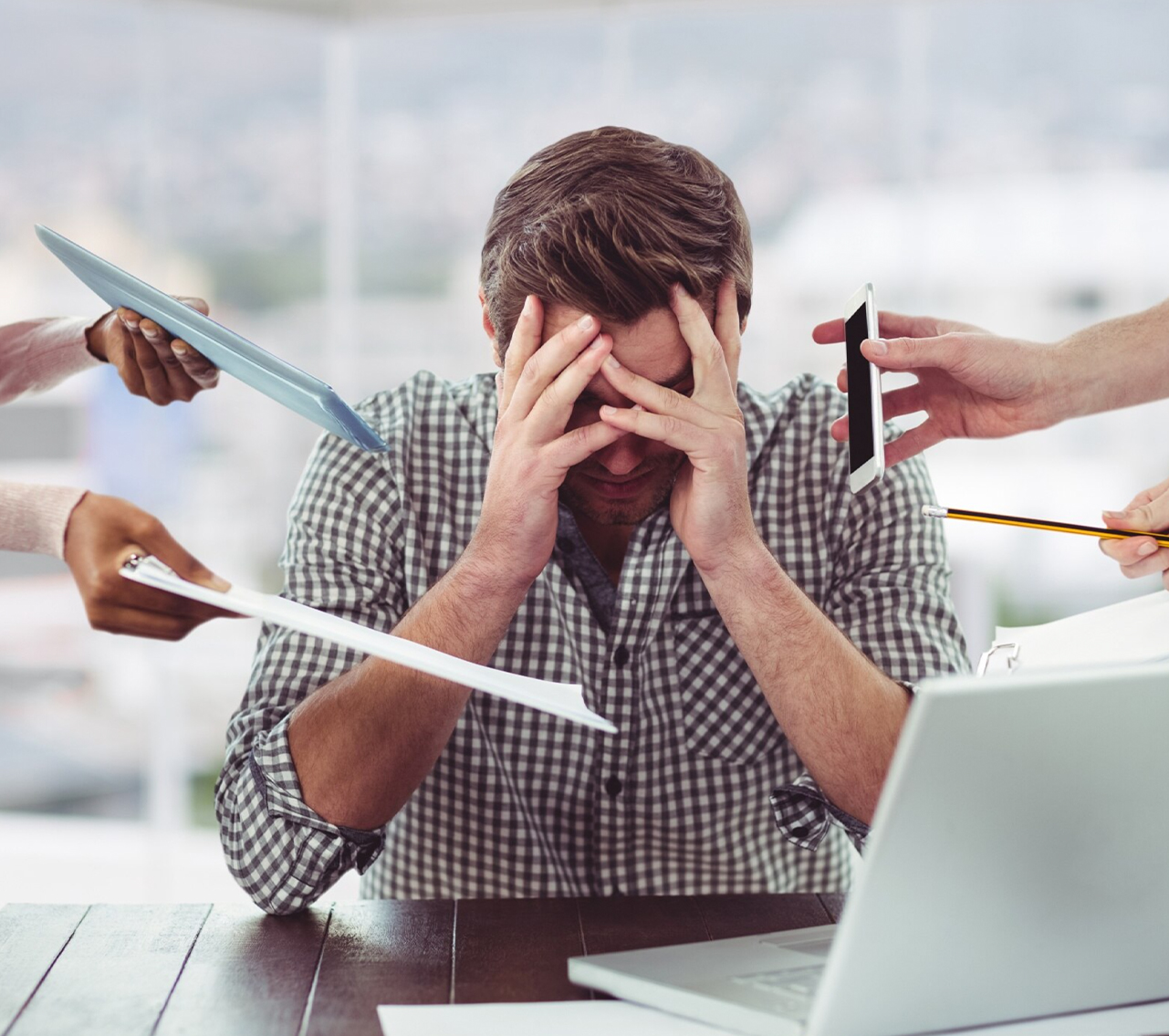 Info Magis Consolidado